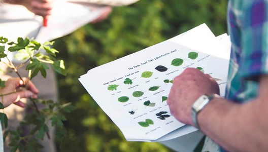 Festival of Nature with outdoor activities for all the family launches this month in Milton Keynes